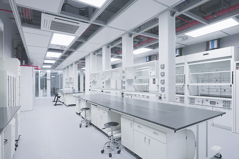 岭东实验室革新：安全与科技的现代融合